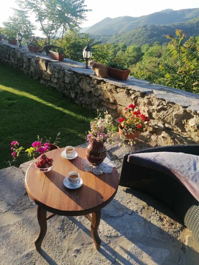 Yancheva Guest House Delchevo Esterno foto