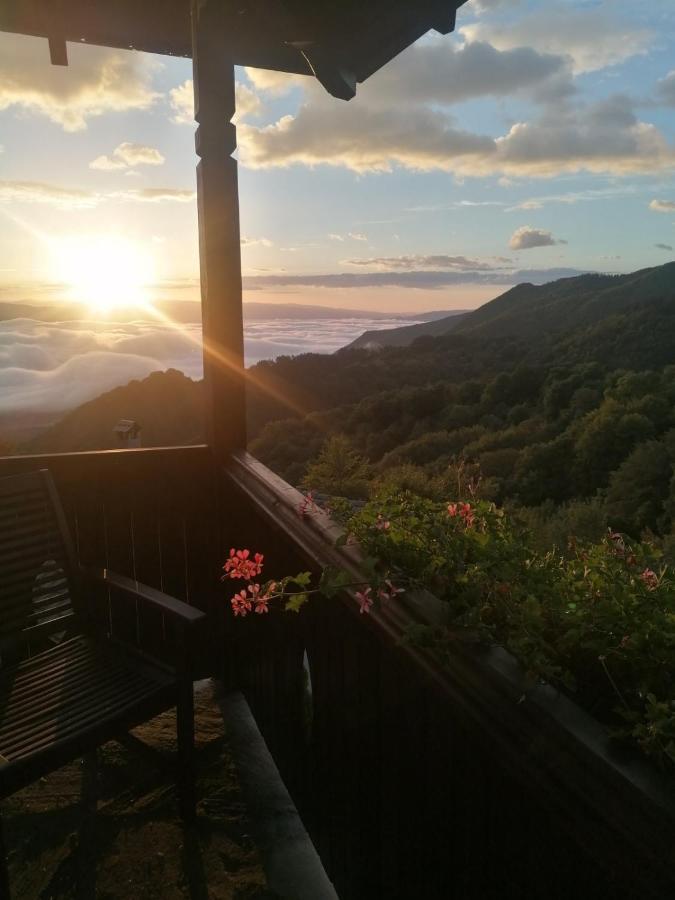 Yancheva Guest House Delchevo Esterno foto