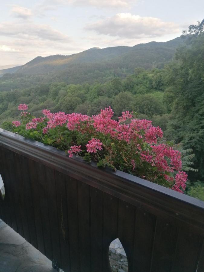 Yancheva Guest House Delchevo Esterno foto